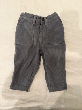 Colored Organics Anders Corduroy Pant In Agave